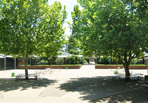Bossley Park High School .